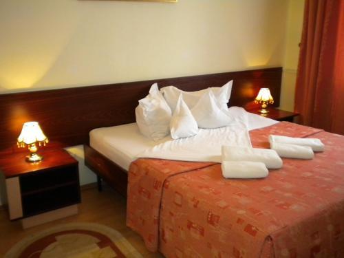 Hotel Decebal