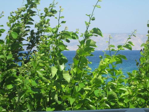 Hostal Psathi Beach