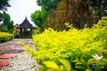 Hotel Boom Forest Resort