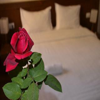 Hotel Phoenicia Comfort