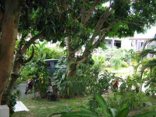 Hostal Lamoon Lamai House
