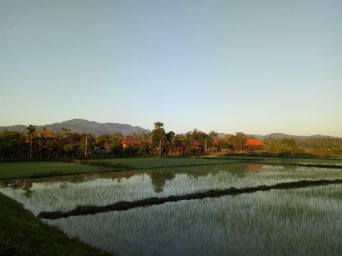 Lodge Indie House @ Maerim