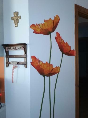 B&B Monticelli