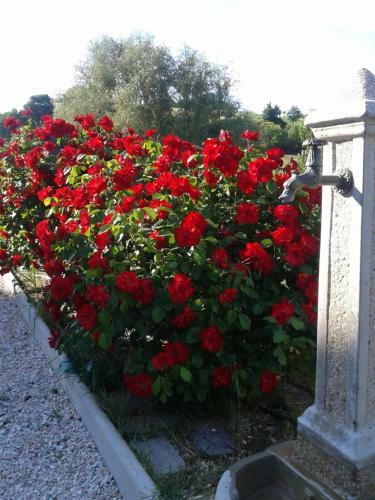 B&B Monticelli