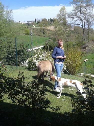 B&B Monticelli