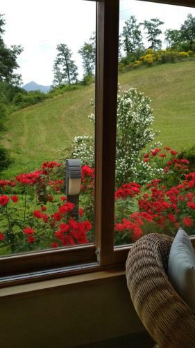 B&B Monticelli