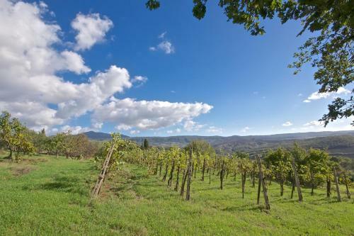 Agroturismo Agriturismo Corvaia