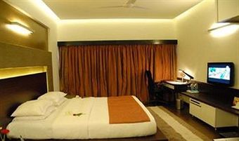 Dolphin Hotel