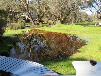 Hidden Grove Retreat