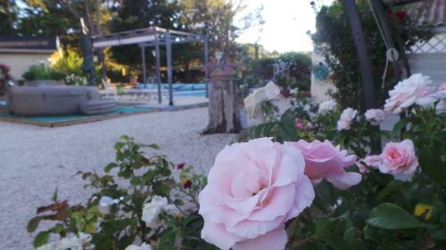 Bed & Breakfast Les Nuit�es De Philine