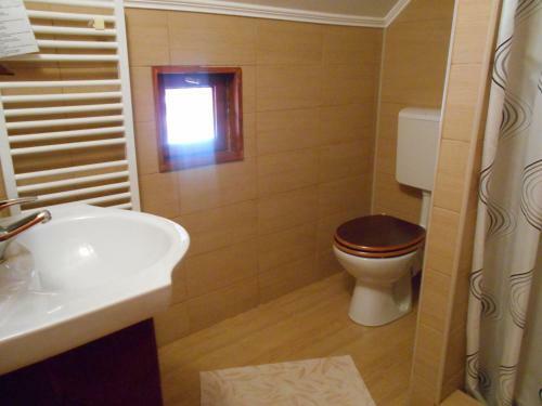 Hostal Pensiunea Doina