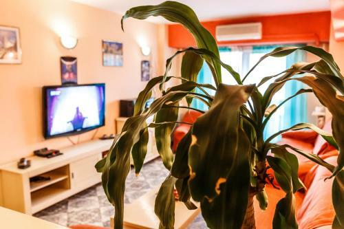 Piata Unirii Apartment