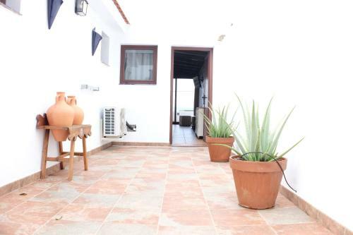 Apartamentos Finca Wapa