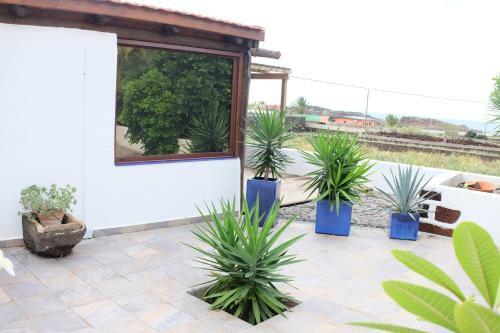 Apartamentos Finca Wapa