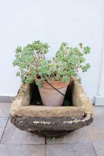 Apartamentos Finca Wapa