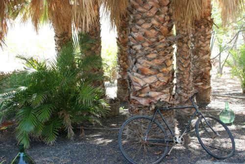 Apartamentos Finca Wapa