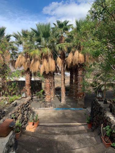 Apartamentos Finca Wapa