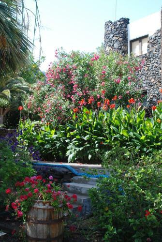 Apartamentos Finca Wapa