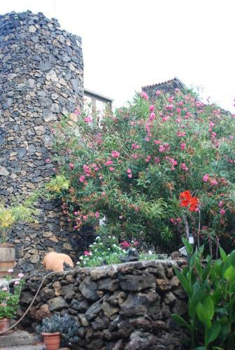 Apartamentos Finca Wapa