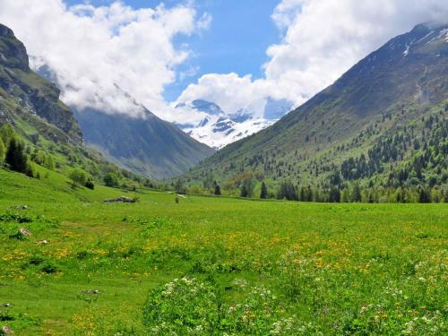 Chalet Grand Arbet