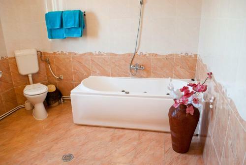 Hostal Pension Vlad