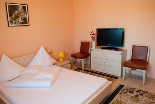 Hostal Pension Vlad