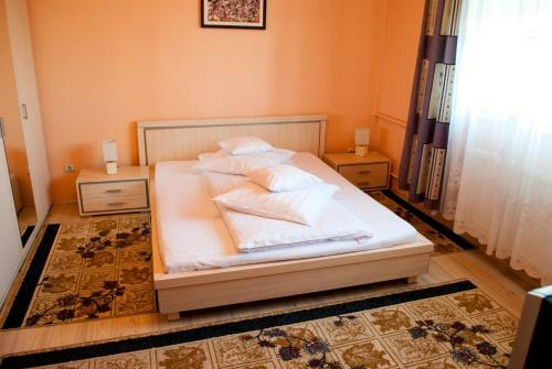 Hostal Pension Vlad