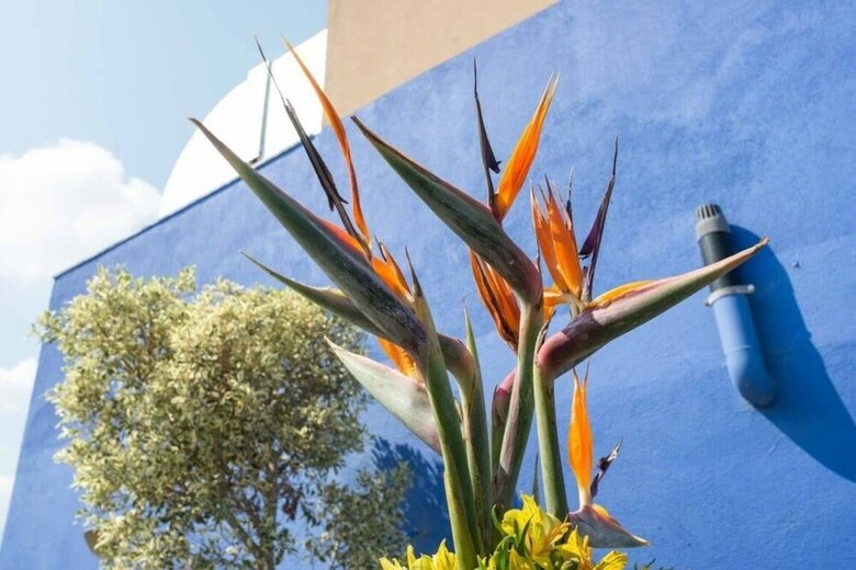 Hotel Ruth Daniel Residence