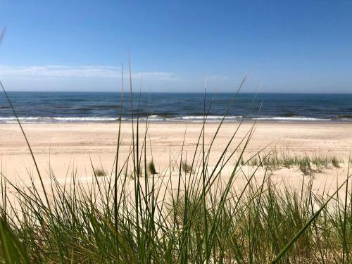Vilatekila-lili Apartments