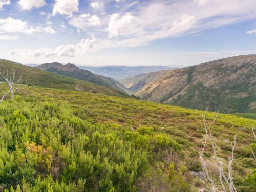 Casa Da Castanheta