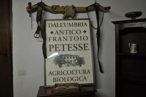 Hostal Agriturismo "il Frantoio"