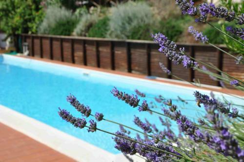 Hostal Agriturismo "il Frantoio"