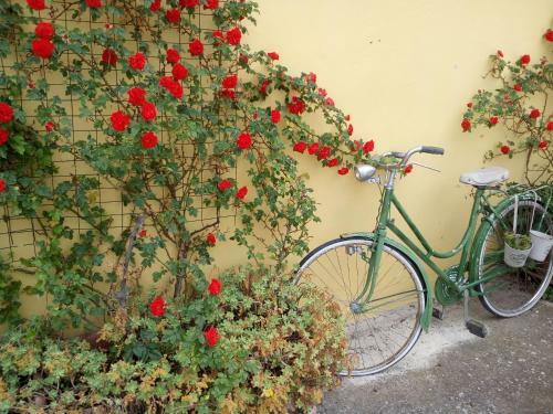 Agroturismo Casa Cantone