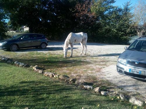 Agroturismo Casa Cantone