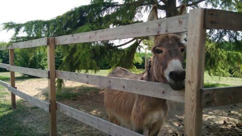 Agroturismo Casa Cantone