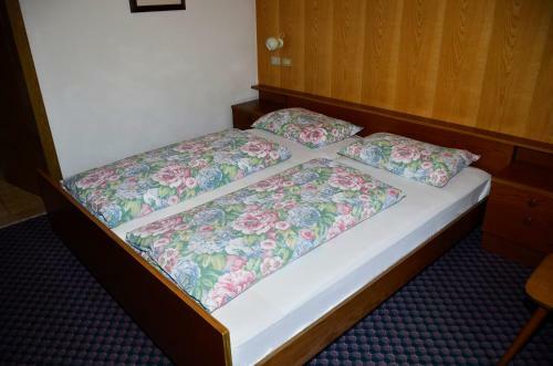 Hostal Pension Pichler