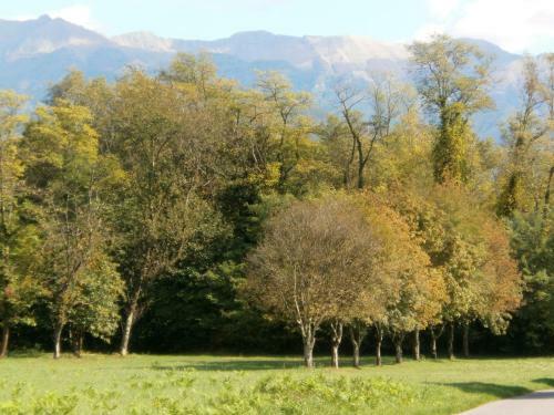 Bed & Breakfast B&amp;b Il Rifugio Del Pellegrino