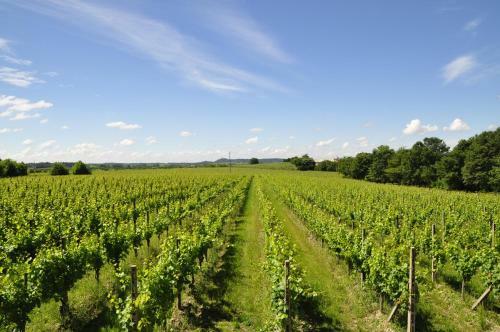 Agroturismo Borgo San Donino