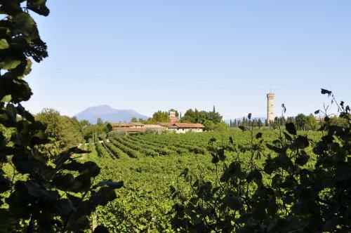 Agroturismo Borgo San Donino