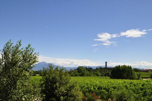 Agroturismo Borgo San Donino