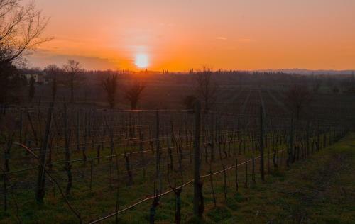 Agroturismo Borgo San Donino