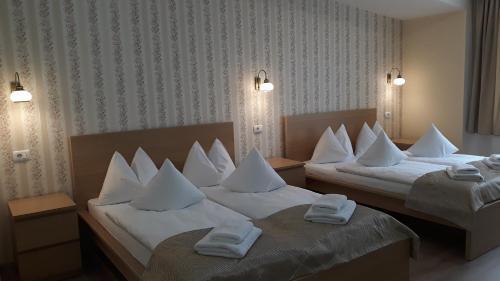Hostal Pensiunea Casa Rusu
