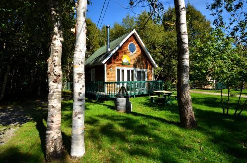 Chalets-camping Domaine Des Dunes