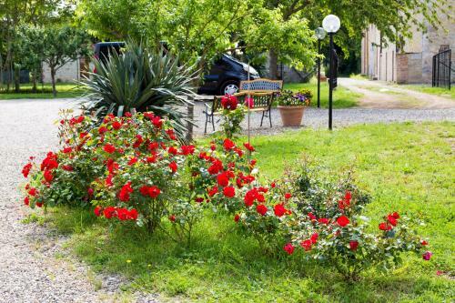 Hostal Fattoria Il Casone