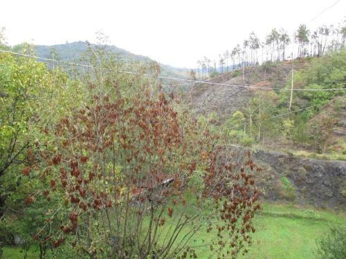 Bed & Breakfast La Bordigona