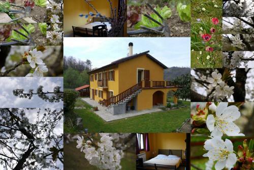 Bed & Breakfast La Bordigona
