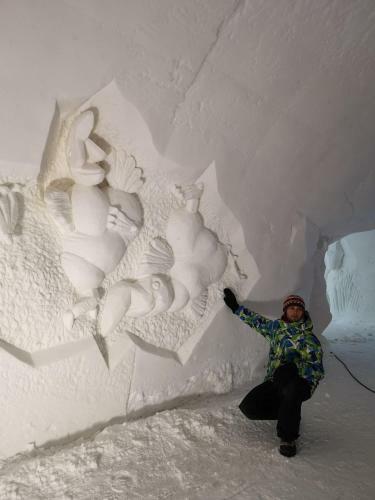 Hotel Luvattumaa - Levi Ice Gallery