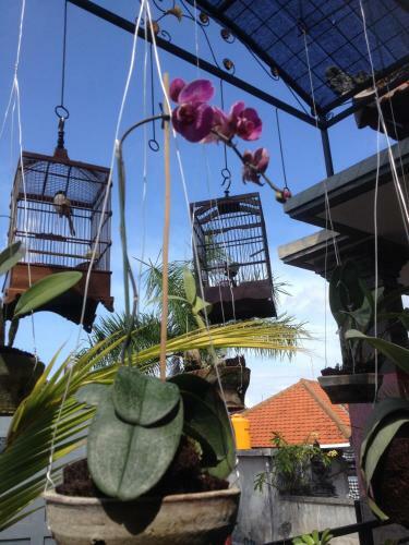 Hostal AA Residence