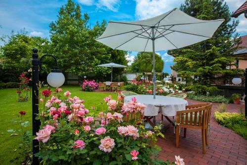 Hostal Villa Rosa