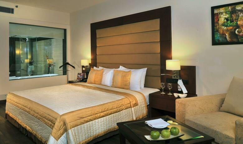 Hotel Country Inn & Suites By Carlson Sec-12